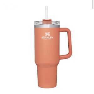 Coral/Orange Stanley 40 oz Mug